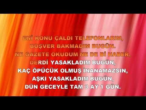AYLA ÇELİK - BAĞDAT