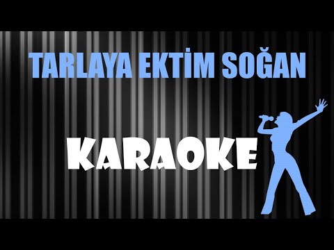 Tarlaya Ektim Soğan