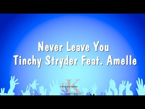 Tinchy Stryder - Never Leave You