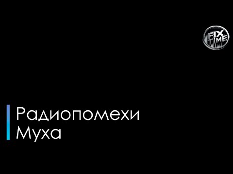 Радиопомехи - Муха