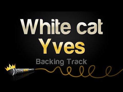 Yves - White cat