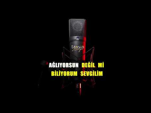 Ceylan Koynat - Sessizce