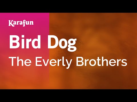 The Everly Brothers - Bird Dog