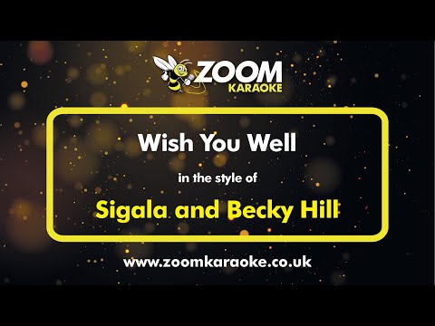 Sigala and Becky Hill - Wish You Well