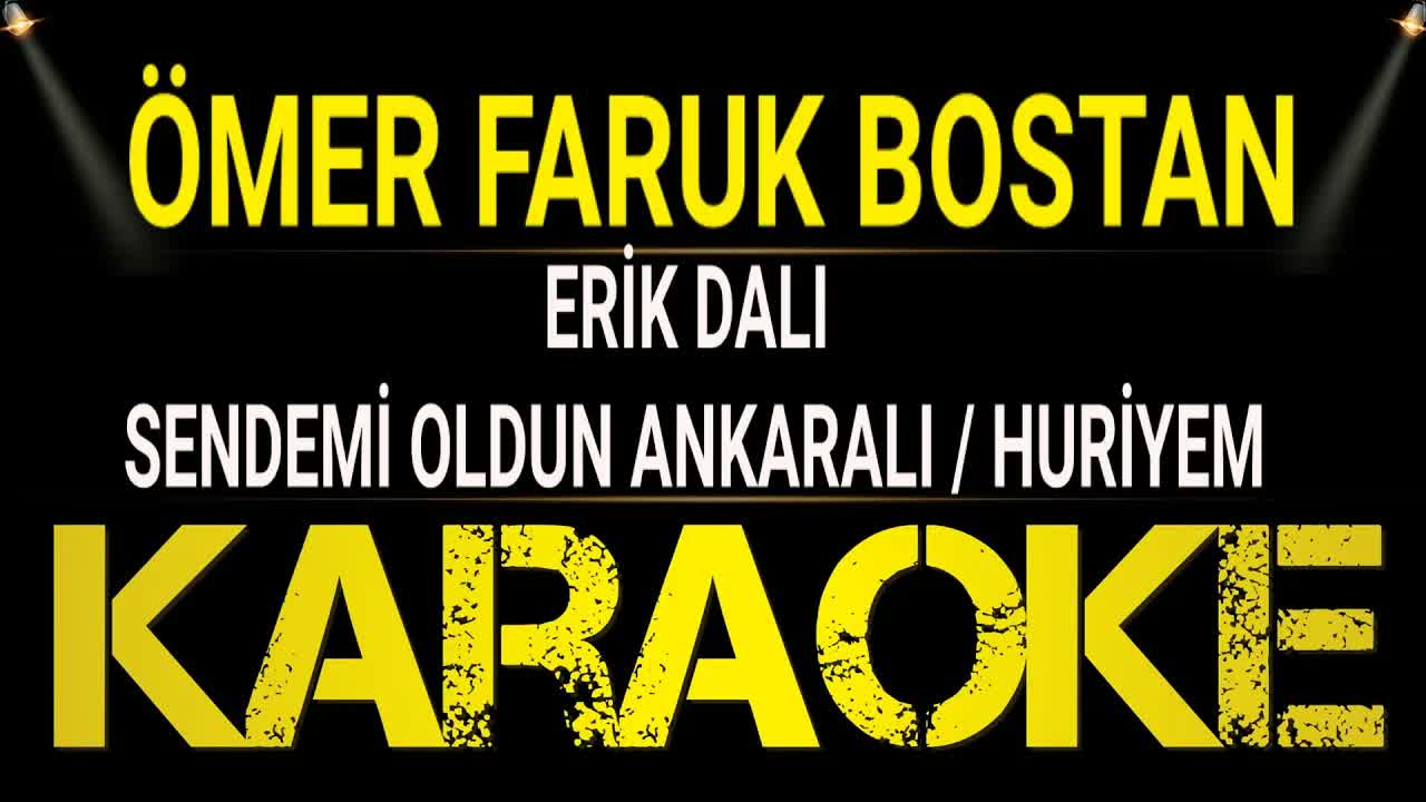 Ömer Faruk Bostan - Erik Dalı