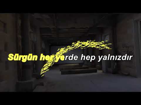 sezen aksu ve zülfü livaneli - sürgün