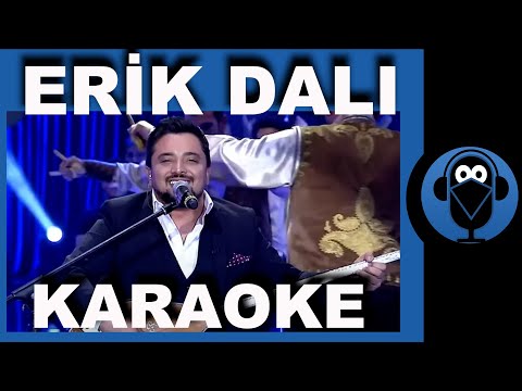 Ömer Faruk Bostan - Erik Dalı