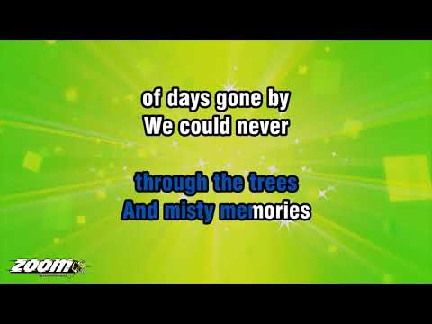Michael Buble - How Can You Mend A Broken Heart