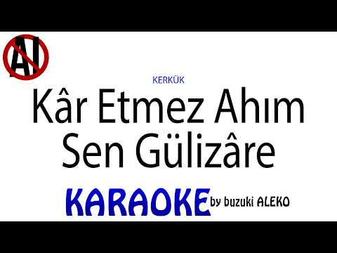 Kâr Etmez Ahım Sen Gülizâre