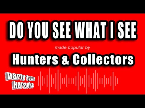 Hunters & Collectors - Do You See What I See