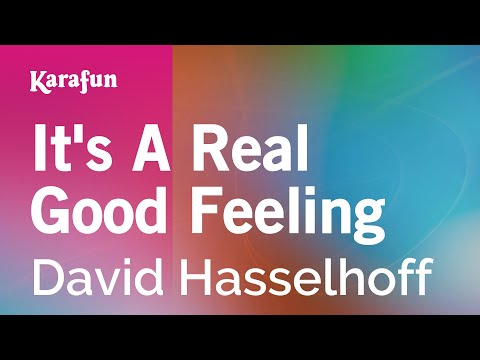David Hasselhoff - It's a Real Good Feeling