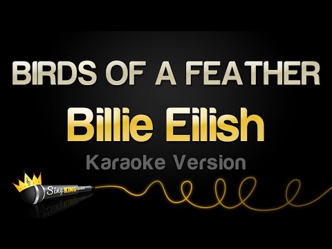 Billie Eilish - BIRDS OF A FEATHER