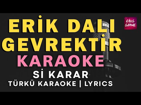 Erik Dalı Gevrektir - Si