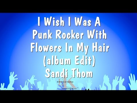 Sandi Thom - I Wish I Was A Punk Rocker With Flowers In My Hair (album Edit)