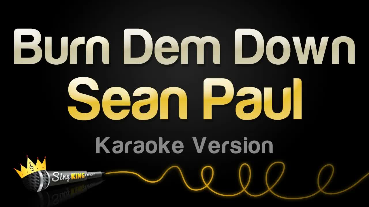 Sean Paul - Burn Dem Down