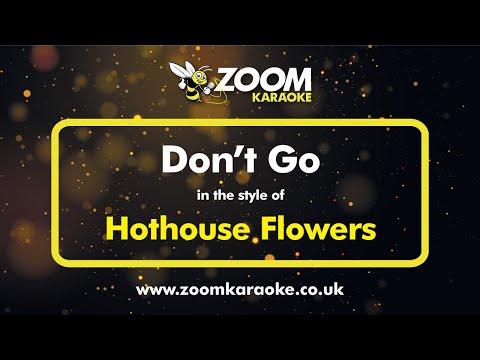 Hothouse Flowers - Don't Go