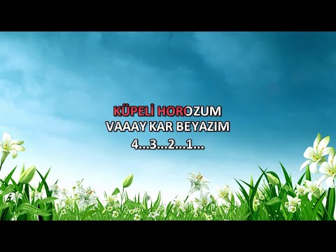 Horozumu Kaçıldılar -Karaoke Full HD