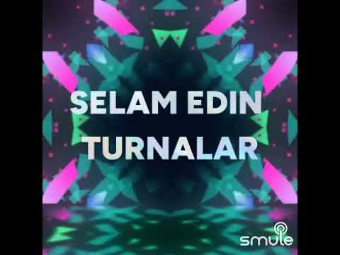 Yare gidin turnalar