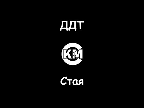 ДДТ - Стая