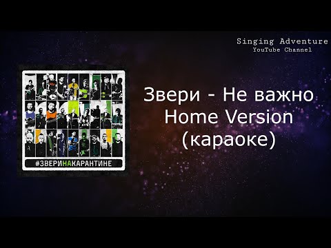 Звери - Не важно Home Version