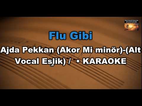Flu Gibi - Ajda Pekkan (Akor/Em/Mi minör)- (Alt Vocal Eşlik)