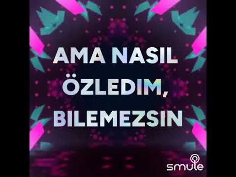 Özledim Rafet el roman