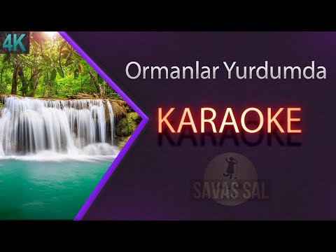 Ormanlar Yurdumda