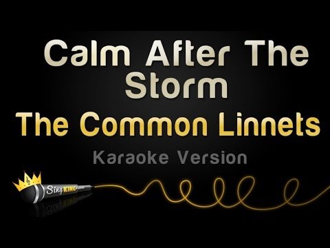 The Common Linnets - Calm After The Storm