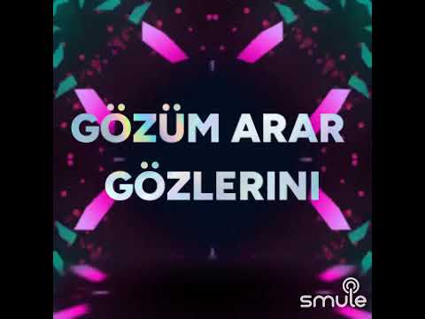 Sevdana gönül verdim