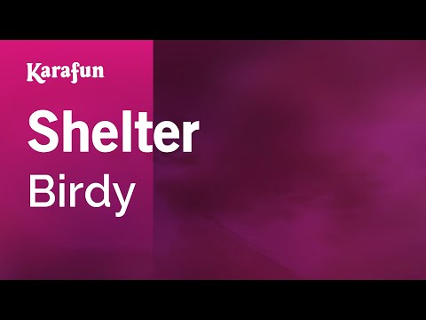 Birdy - Shelter