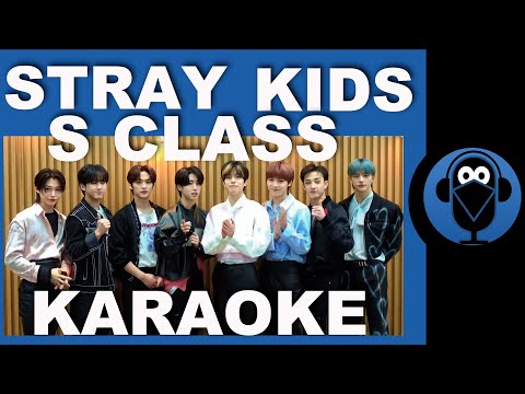 Stray Kids 특 S-Class