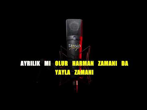 Musa Eroğlu - Harmana Serdiler Sarı Samanı