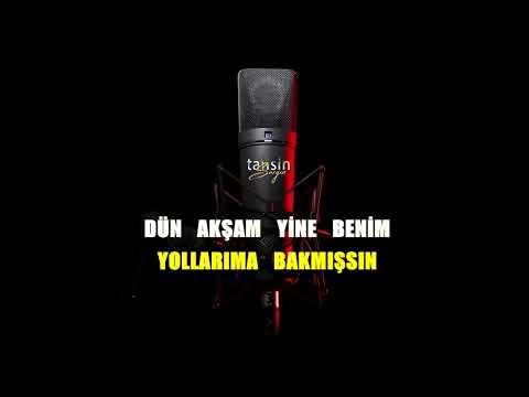Serkan Kaya - Senin Olmaya Geldim