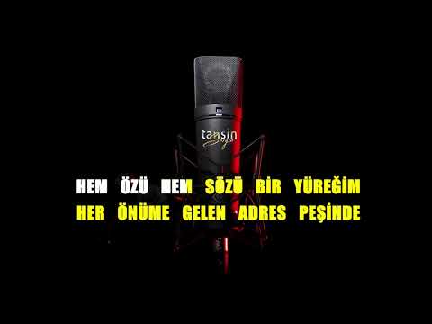Serdar Ortaç - Aşk Böceği