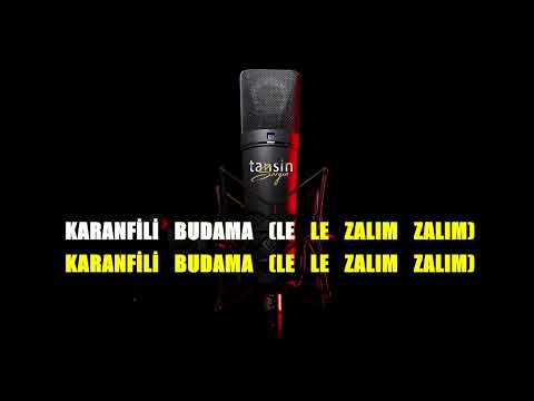 Aylin Demir - İğne Attım Tarlaya