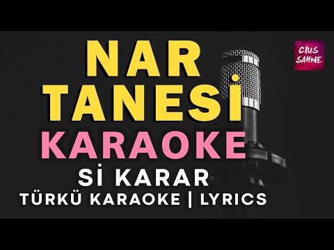 Nar Tanesi (Sevdan Olmasaydı) - Si