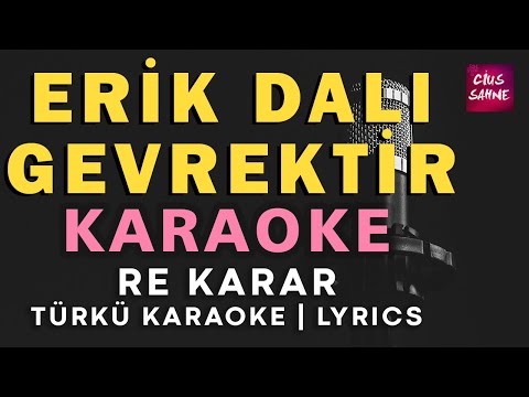 Erik Dalı Gevrektir - Re