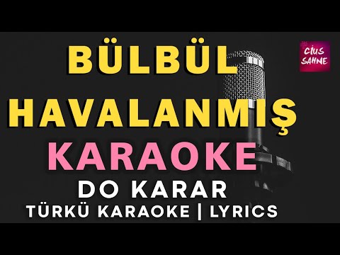 Bülbül Havalanmış Yüksekten Uçar - Do