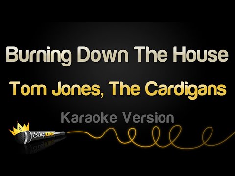 Tom Jones, The Cardigans - Burning Down The House