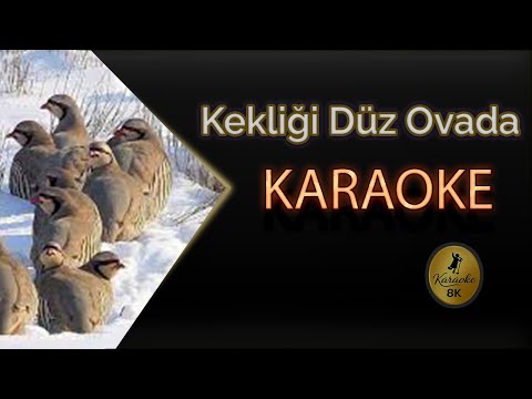 Kekliği Düz Ovada Avlarlar Karaoke 8K