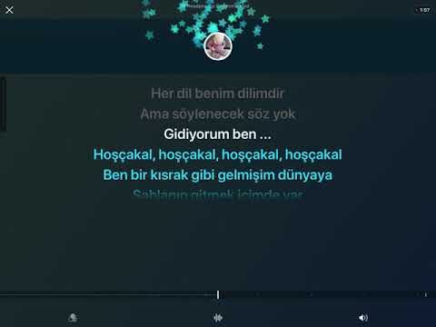 Şebnem ferah - Hoşçakal