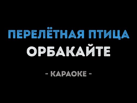 Кристина Орбакайте - Перелётная птица