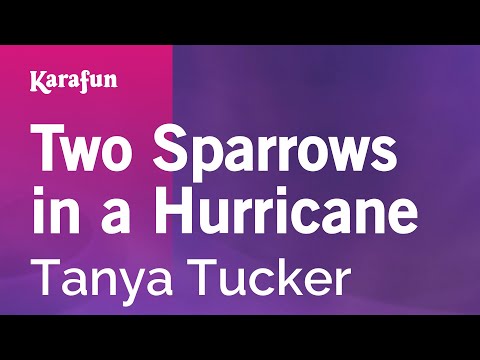 Tanya Tucker - Two Sparrows in a Hurricane