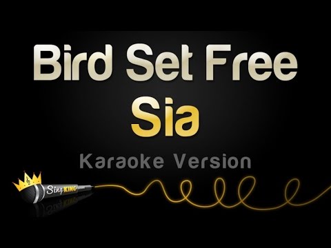 Sia - Bird Set Free