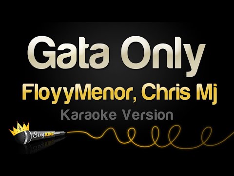 FloyyMenor, Chris Mj - Gata Only