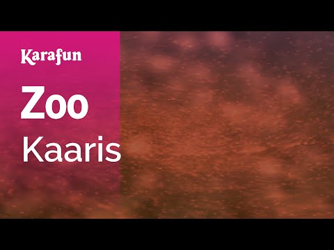 Kaaris - Zoo