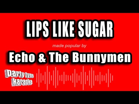 Echo & The Bunnymen - Lips Like Sugar