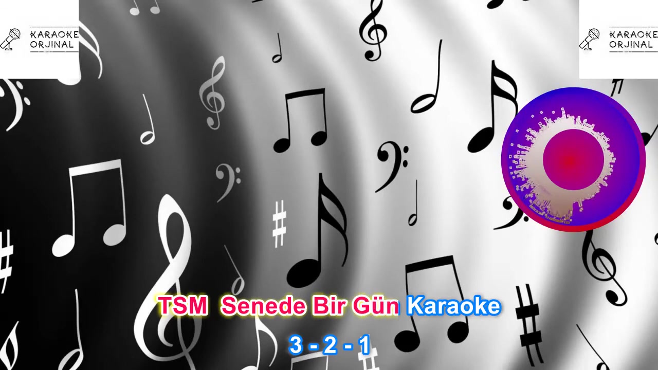 TSM - Senede Bir Gün