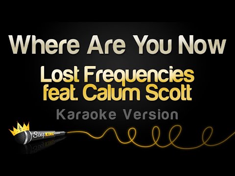 Lost Frequencies feat.  Calum Scott - Where Are You Now