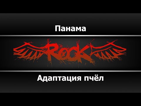 Адаптация пчёл - Панама